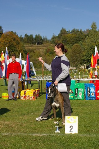 www.boxer-show.eu